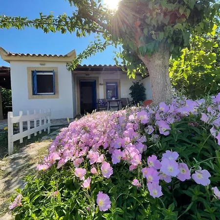 Vasilopoulos Estate Koróni