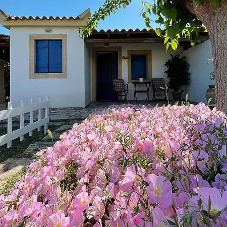 アパート Vasilopoulos Estate Koróni